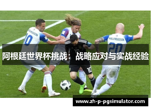 阿根廷世界杯挑战：战略应对与实战经验